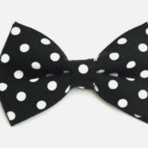 Black | White | Polka Dot | Bow Tie