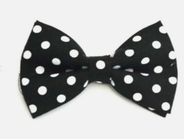 Black | White | Polka Dot | Silk Bow Tie