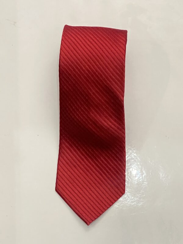 Ruby Red | Diagonal Stripe | Silk Tie