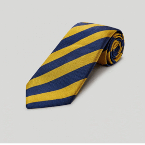 Navy | Gold | Stripe | Woven | Silk Tie