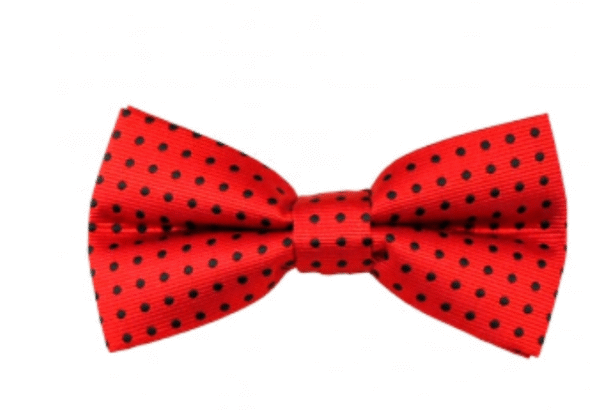Red | Black | Polka Dot | Silk Bow Tie